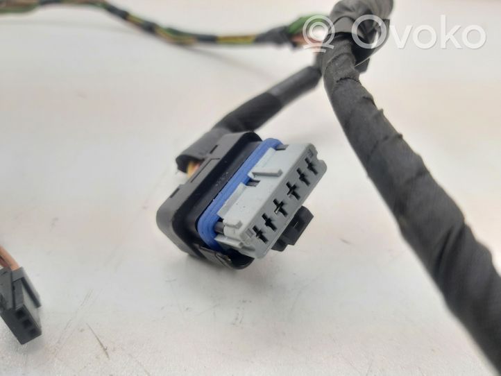 Peugeot 508 Cableado de puerta delantera 9675216780