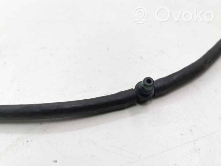 Ford Focus C-MAX Fuel return line/hose 