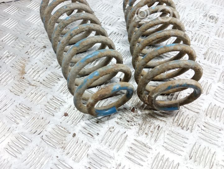 Volkswagen New Beetle Rear coil spring 