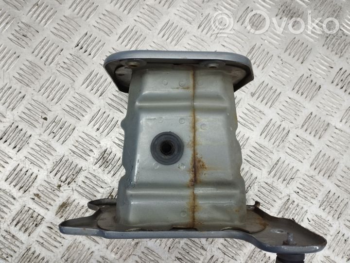 Opel Antara Front bumper shock/impact absorber 