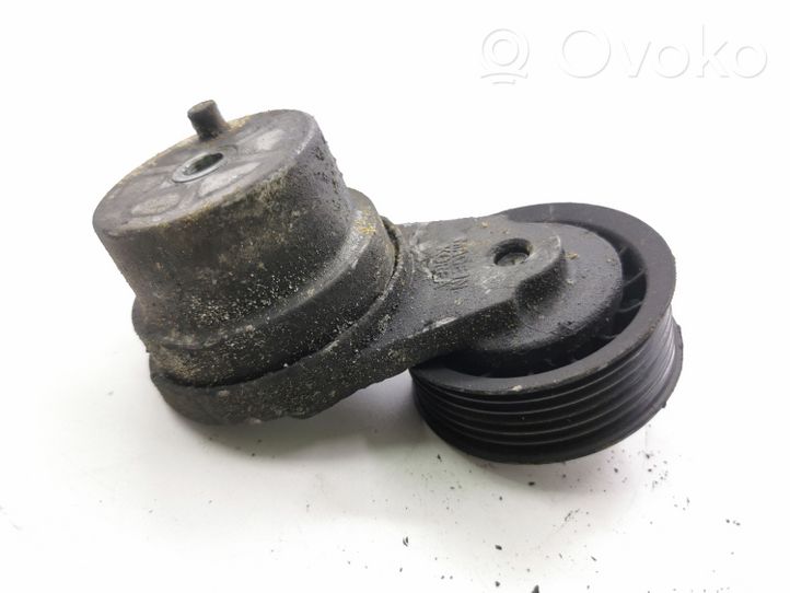 Opel Antara Napinacz paska wielorowkowego / Alternatora 25192084