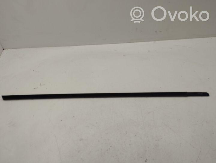 BMW X5 E53 Front door glass trim molding 