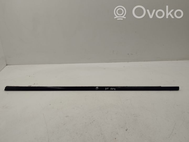 BMW X5 E53 Front door glass trim molding 