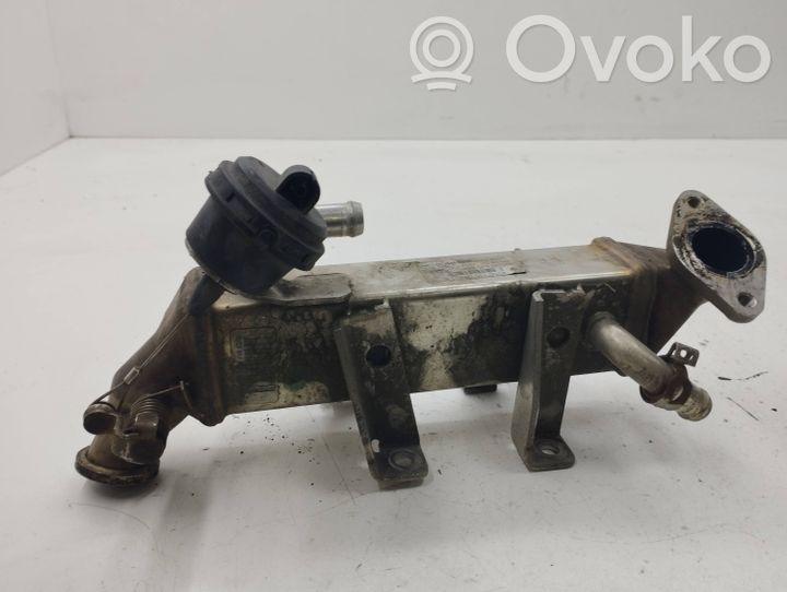 Kit Rimozione EGR TAKPART - Bypass Acciaio Inox, Piastra Cieca, Tappi Alluminio, Per Diesel - Foto 10