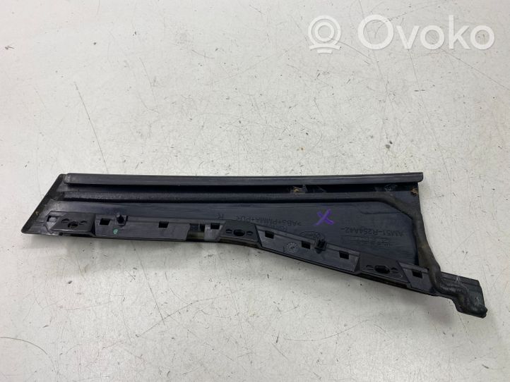 Ford C-MAX II Rivestimento modanatura del vetro della portiera posteriore AM51R254A42