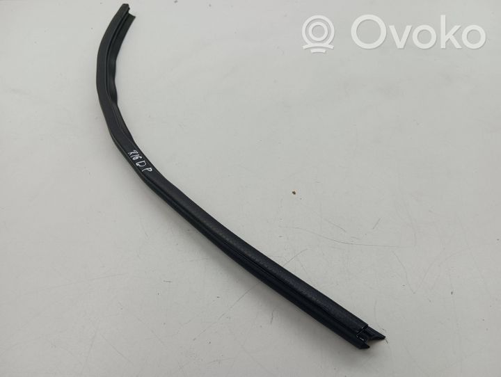 Nissan Qashqai Rubber seal front door (on door) 