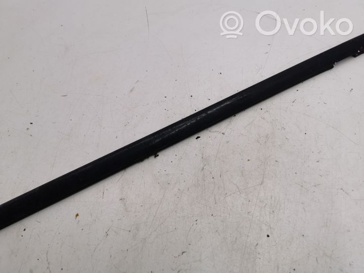 BMW X5 E53 Rear door glass trim molding 