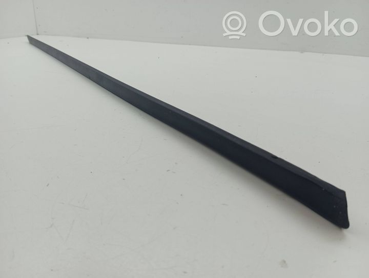 BMW X5 E70 Front door trim (molding) 