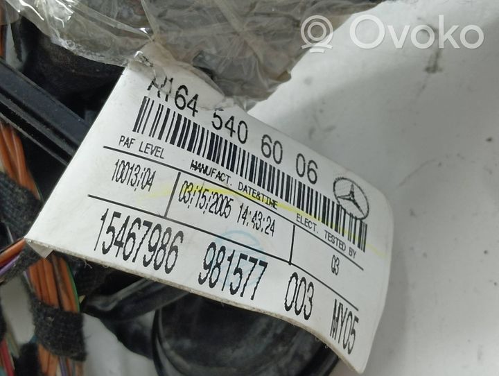 Mercedes-Benz ML W164 Wiązka przewodów drzwi tylnych A1645406006