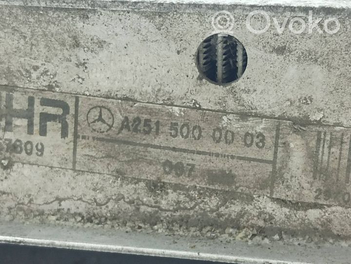 Mercedes-Benz ML W164 Chłodnica A2515000003