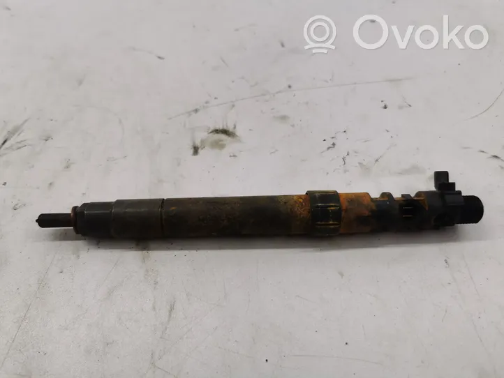 Citroen DS4 Injecteur de carburant 9686191080