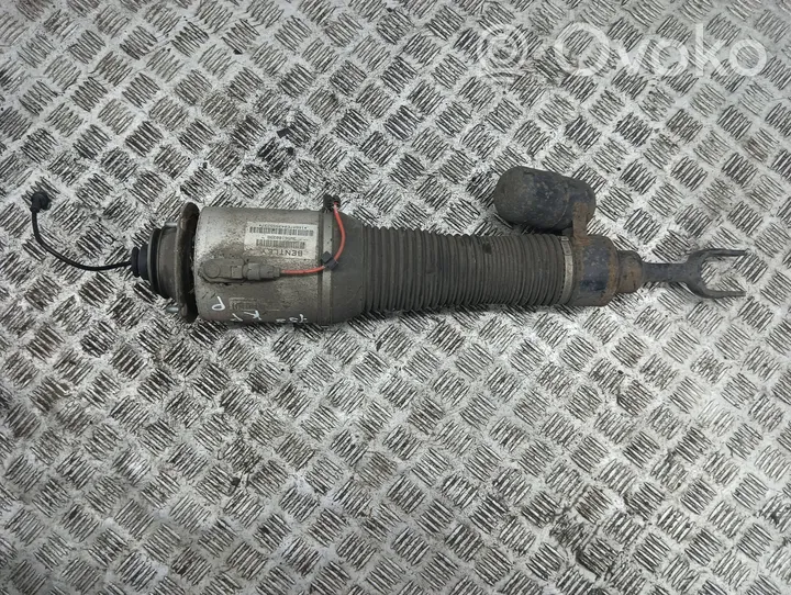 Bentley Flying Spur Front air suspension shock absorber 3W5616039B