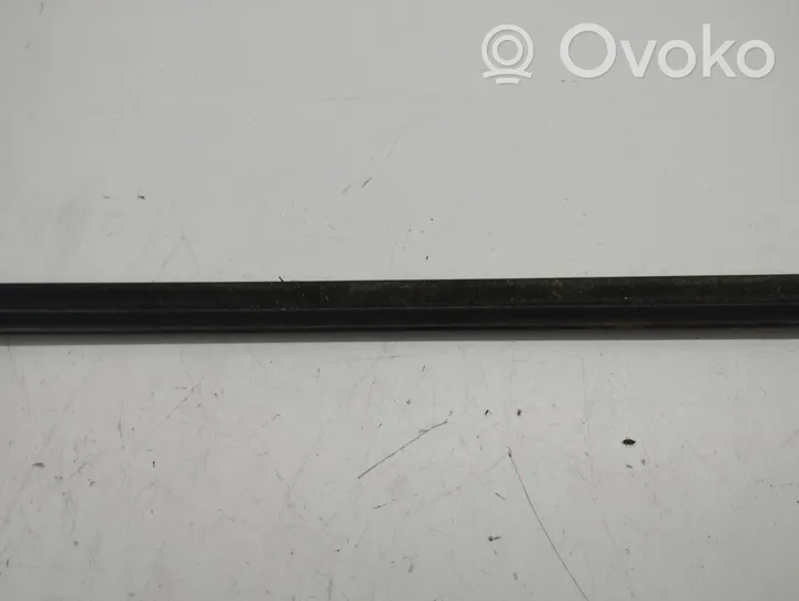 Infiniti FX Front door glass trim molding 