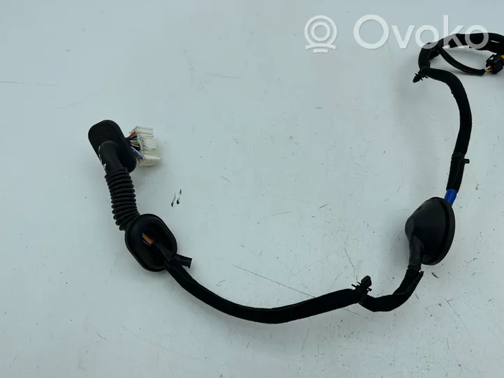 KIA Niro Cableado de puerta trasera 91650G5081R