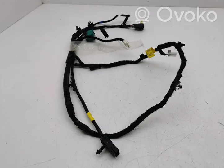 Opel Antara Tailgate/trunk wiring harness 20976394