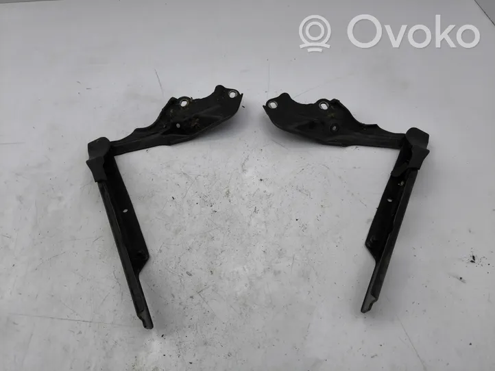 Audi A6 S6 C7 4G Cerniere del vano motore/cofano 4G8823301E