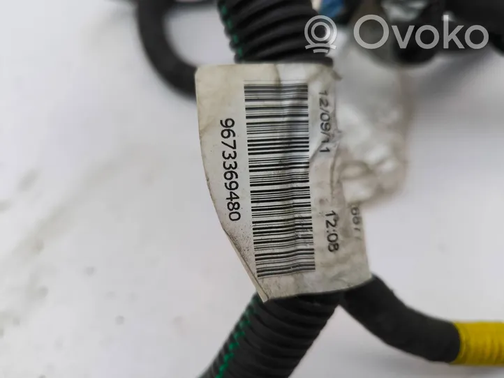 Citroen C4 II Wires (generator/alternator) 9673369480