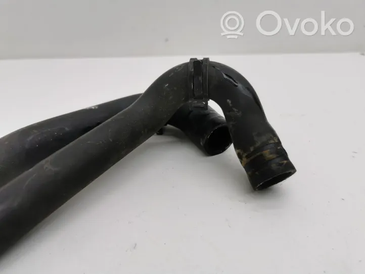 Skoda Octavia Mk4 Przewód / Wąż chłodnicy 5Q0121156D