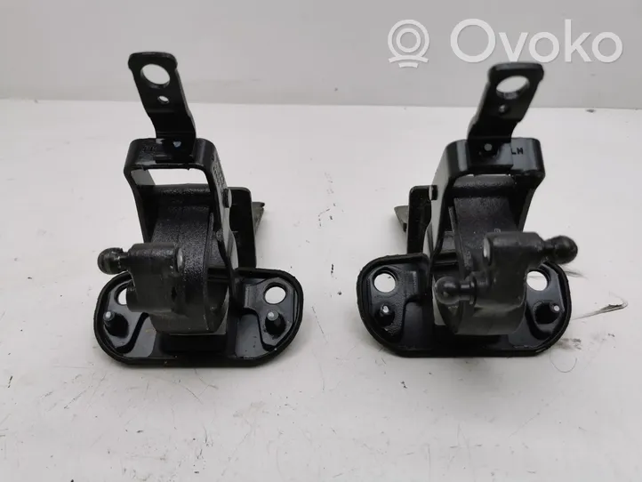 Volvo V70 Set di cerniere portiera di carico 312184256