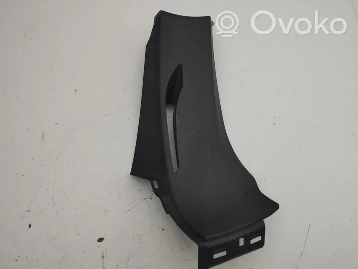 Tesla Model S Rivestimento montante (C) 102473000B