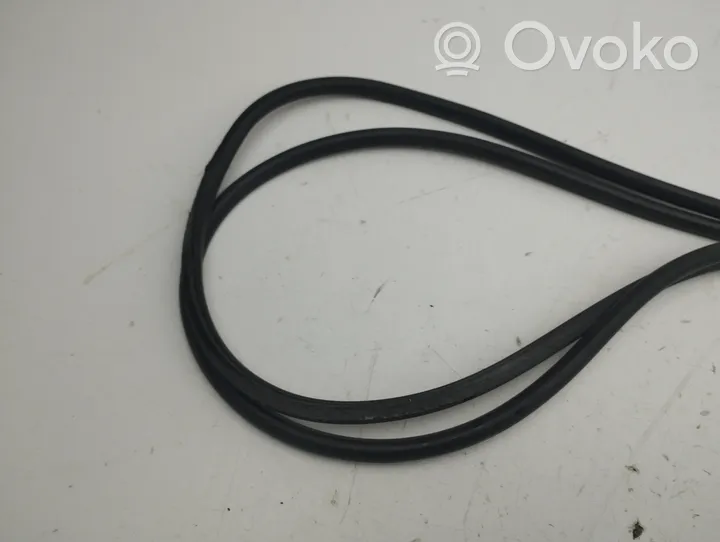 Tesla Model S Sunroof sealing rubber 101444300B