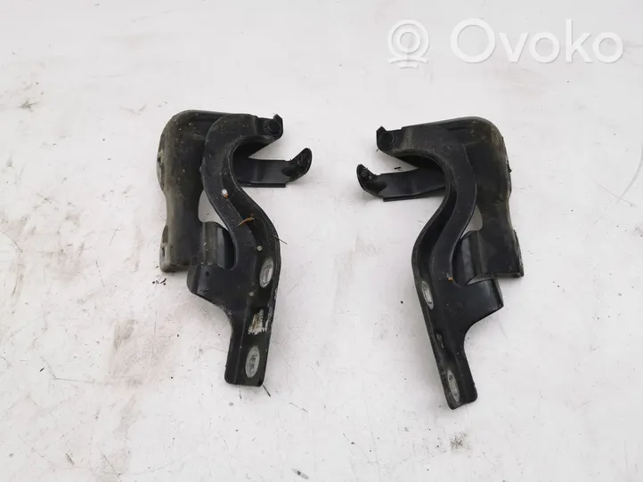 Opel Antara Engine bonnet/hood hinges 