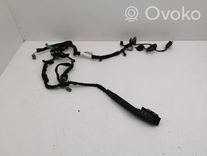 Volvo S80 Faisceau de câblage de porte avant D30773652003