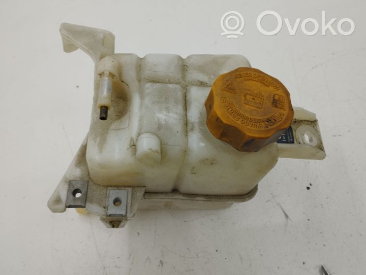 Opel Antara Serbatoio di compensazione del liquido refrigerante/vaschetta 96837836