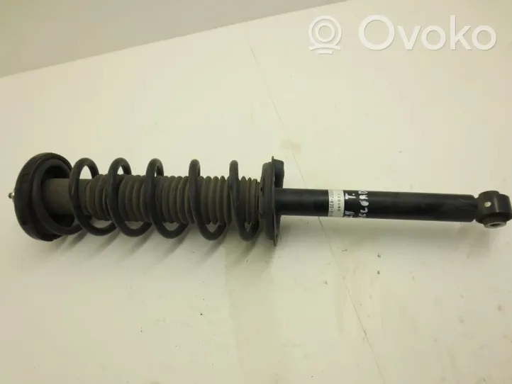 Honda Accord Rear shock absorber with coil spring 