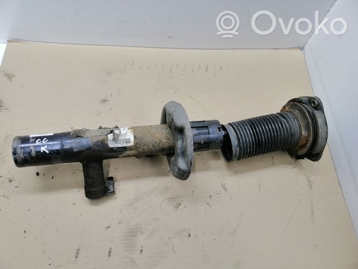 Volkswagen PASSAT CC Front shock absorber/damper 3C0413031D