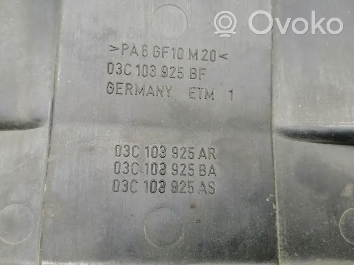 Volkswagen PASSAT B7 Variklio dangtis (apdaila) 03C103925BF