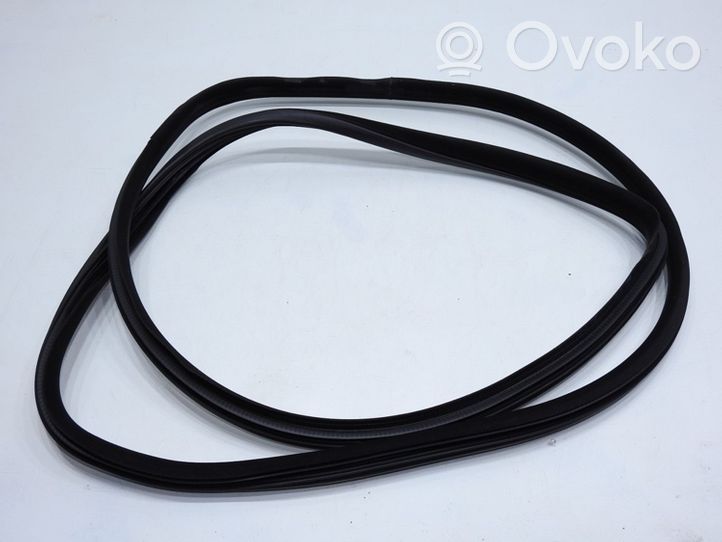 Volvo S60 Rubber seal rear door 