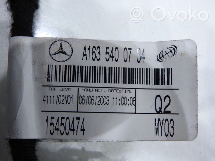 Mercedes-Benz ML W163 Faisceau de câblage de porte arrière 