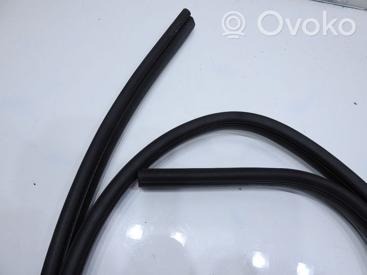 Ford Focus Rubber seal rear door 