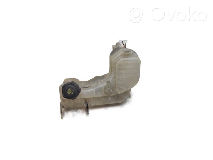 Renault Latitude (L70) Vase d'expansion / réservoir de liquide de refroidissement 217100014R