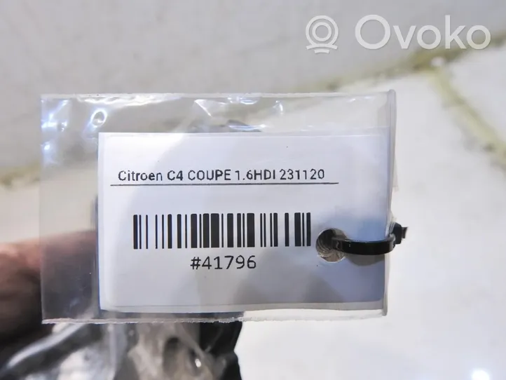 Citroen C4 I Supporto della pompa del carburante 505932