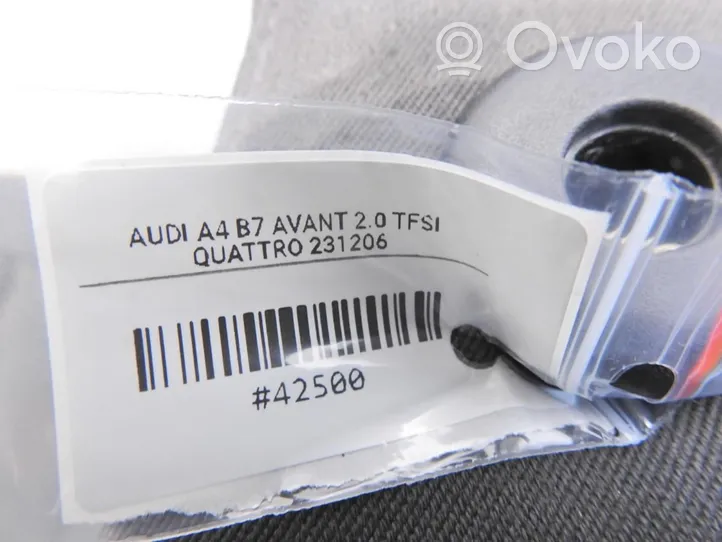 Audi A4 S4 B7 8E 8H Sedile anteriore del passeggero 