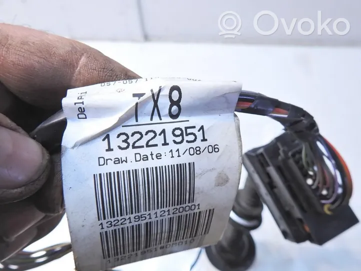 Opel Corsa D Priekšējo durvju vadu instalācija 13221951