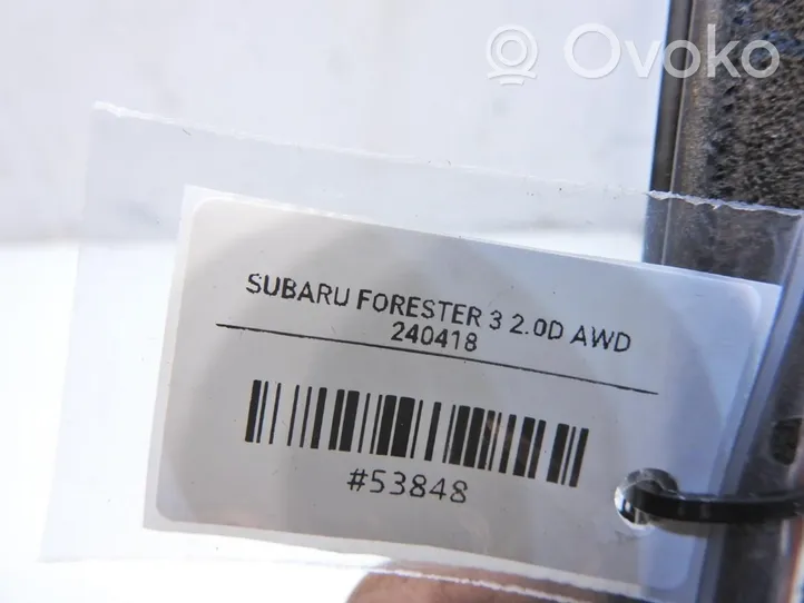 Subaru Forester SH Rivestimento modanatura del vetro della portiera anteriore 