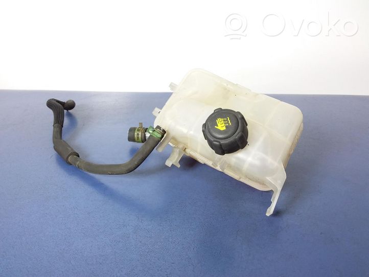 Renault Megane III Vase d'expansion / réservoir de liquide de refroidissement 217100005R