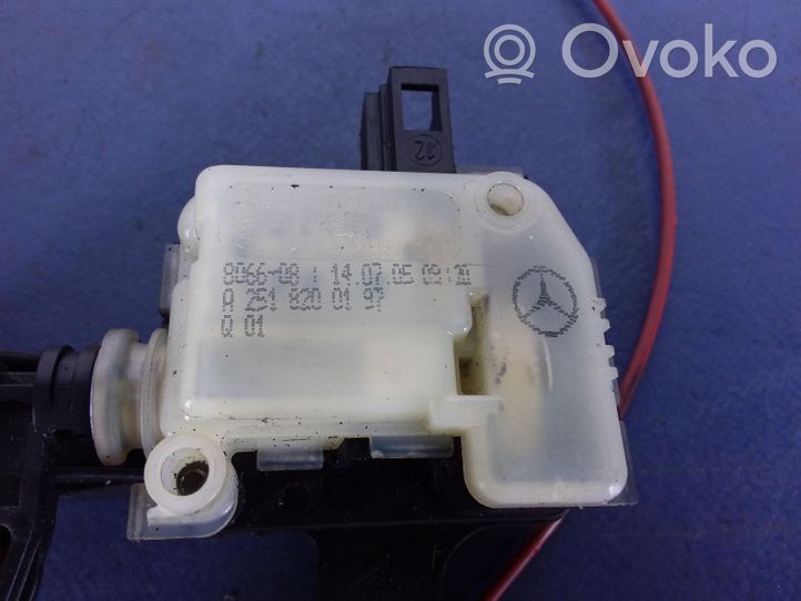 Mercedes-Benz R W251 Supporto (staffa) A2518200197