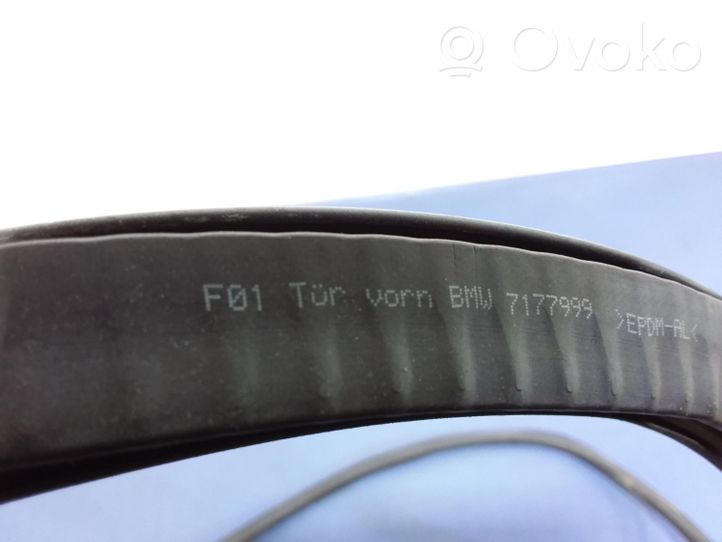 BMW 7 F01 F02 F03 F04 Gummidichtung Tür vorne 7177999