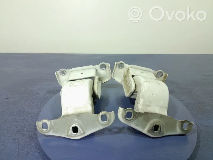 Renault Trafic III (X82) Set di cerniere portiera anteriore 904006707R