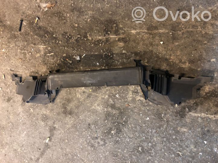 Mercedes-Benz CLS C219 Radiator trim A2195000316