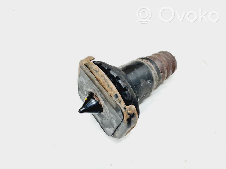 Volvo S60 Rear coil spring rubber mount 31255537