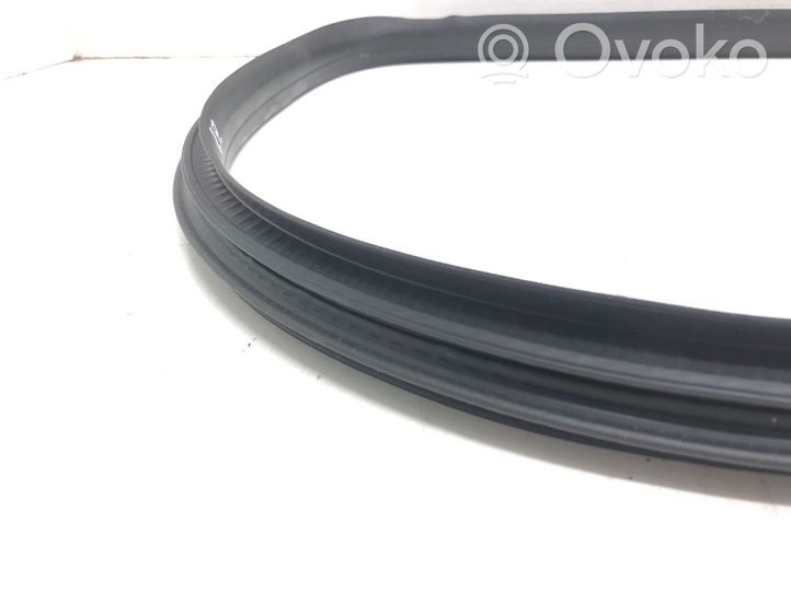 Volvo S40 Front door rubber seal 