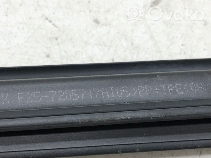 BMW X3 F25 Front door glass trim molding 7205717