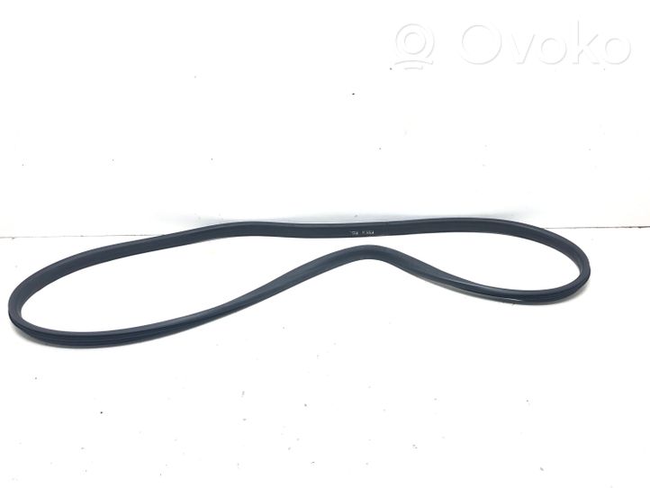 Renault Megane III Front door rubber seal 