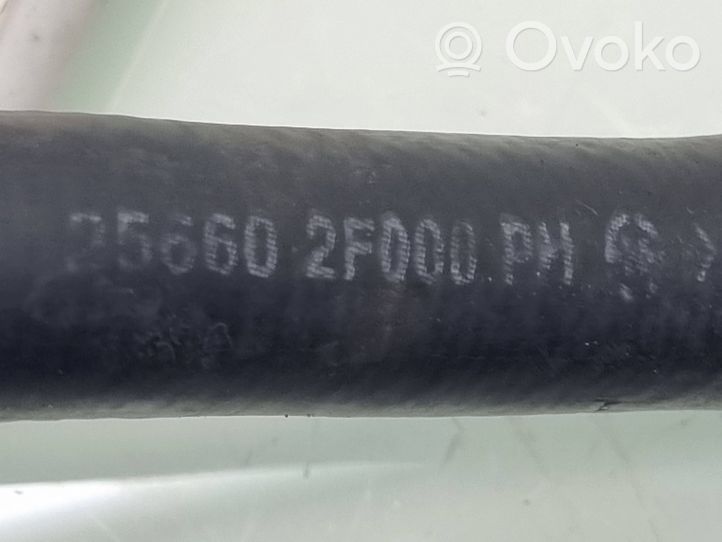 KIA Sorento Gearbox oil cooler pipe/hose 256602F000