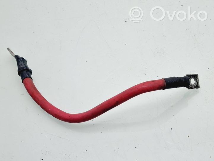Fiat Fiorino Positive cable (battery) 